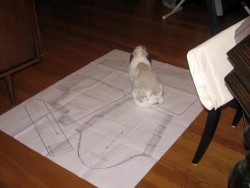 Baxter on Pattern