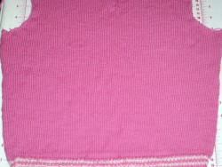 Briar Blocking
