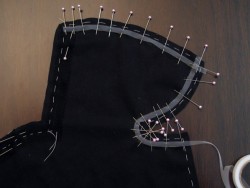 Pinning Closeup