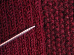 Backwards Stitch