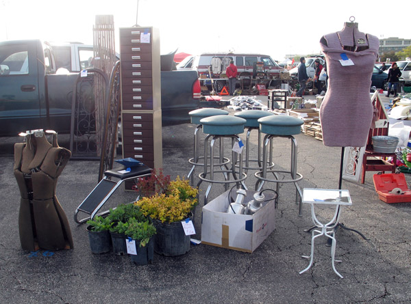 Shy Girls Guide to the Flea