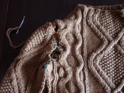 Vashon Shoulder