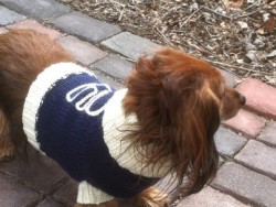 Ernie Sweater_1