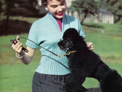 Cutaway Neckline Jumper